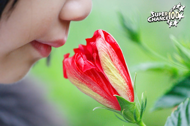 Photographie d'un enfant en train de sentir l'odeur d'une fleur.