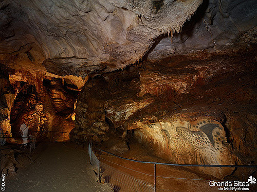 Représentations de chevaux dans la grotte du Pech Merle.